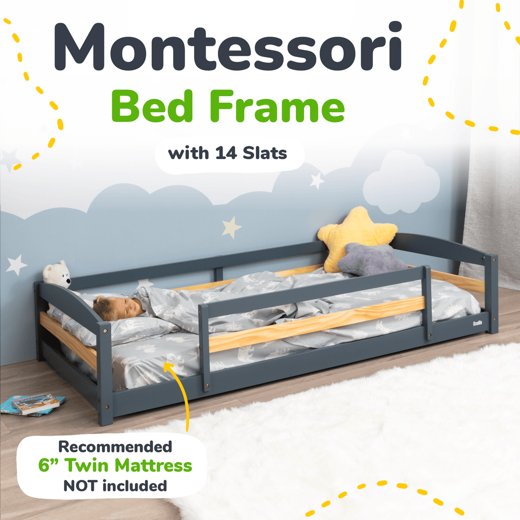 Floor Bed - Twin Size - Shop Avnu