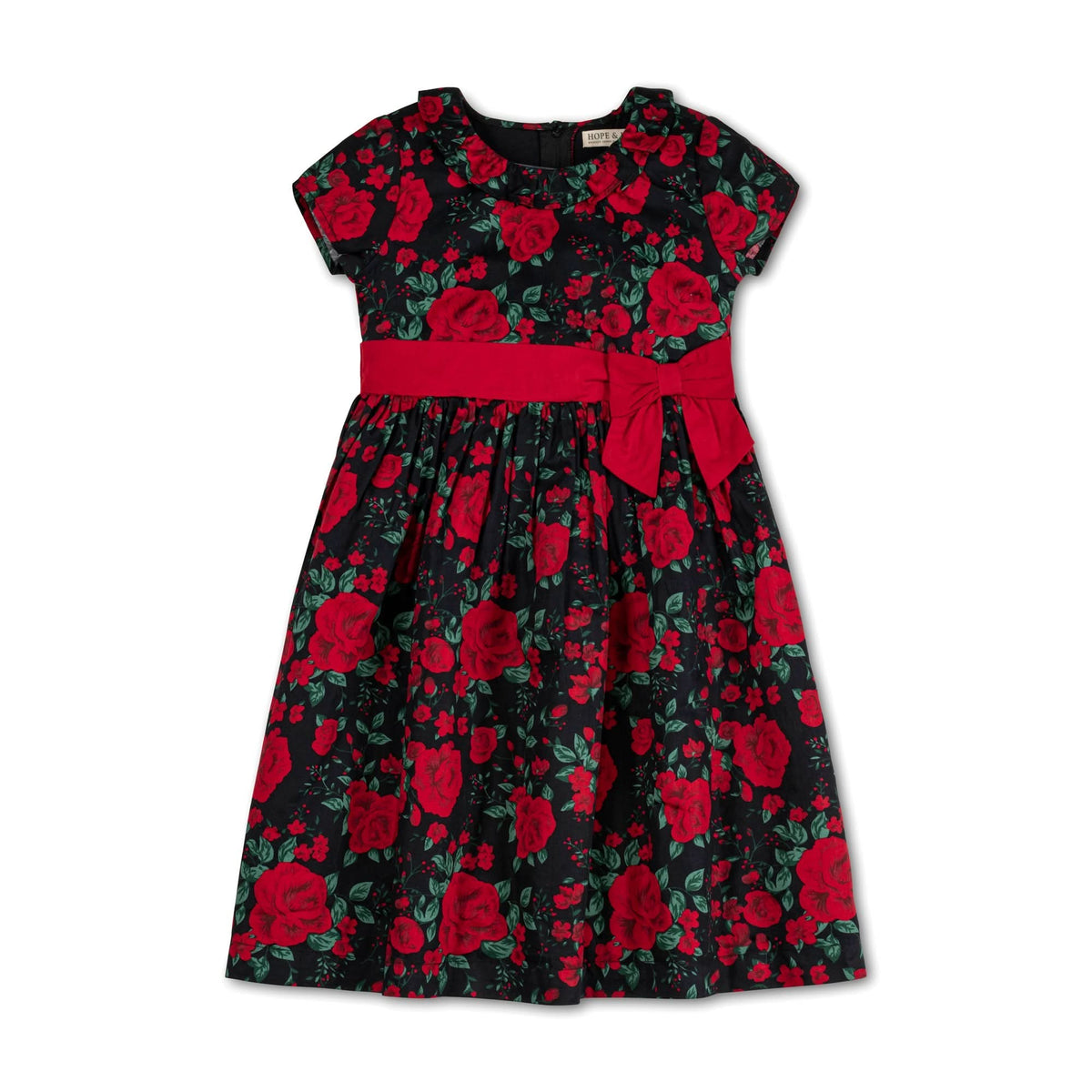 Ruffle Collar Party Dress