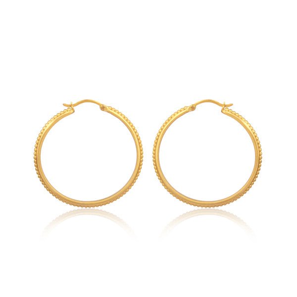 Studded Hoop Earrings - Shop Avnu