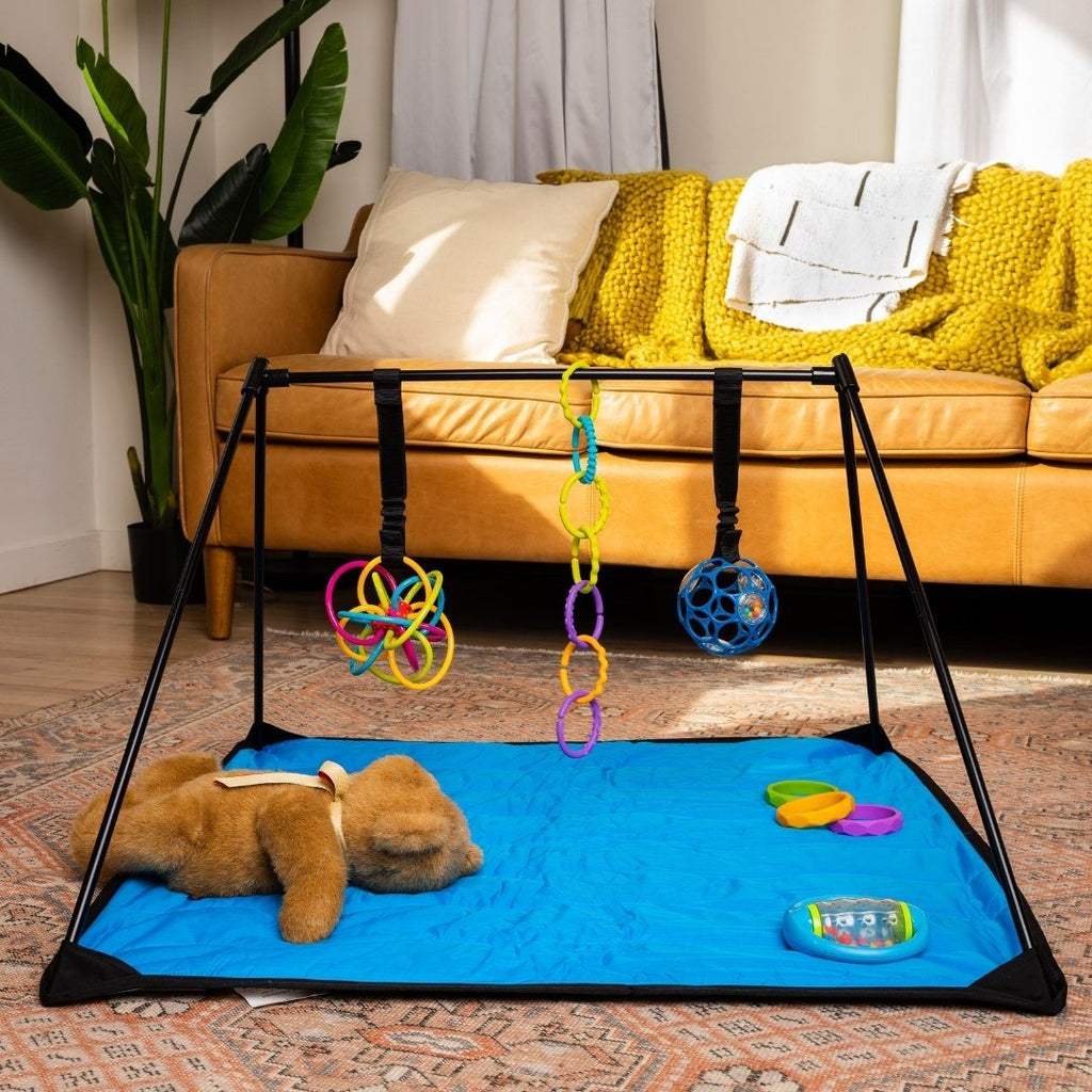 Lay and Play Adventure Mat - Shop Avnu