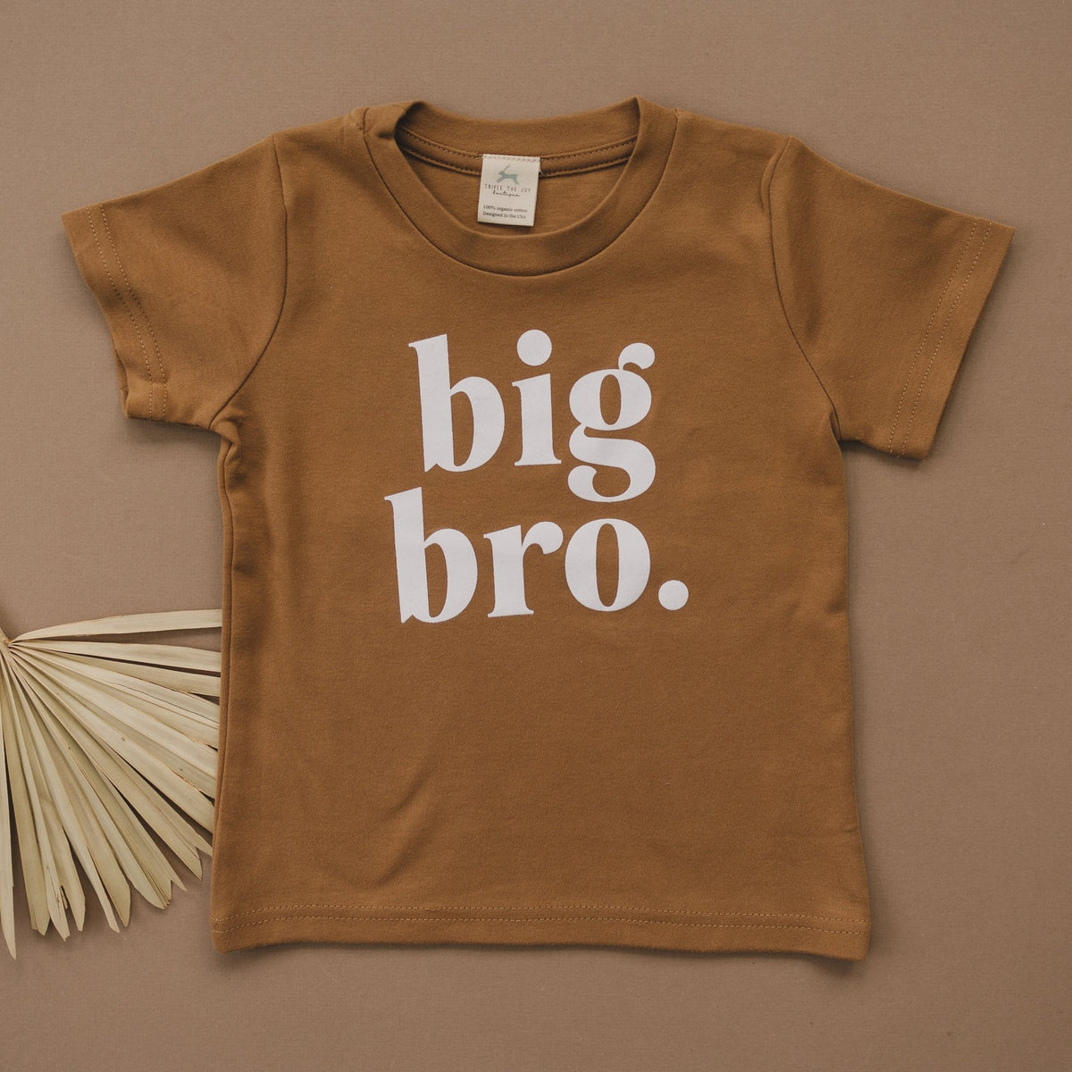 Big Bro Organic Cotton T-Shirt - more colors - Shop Avnu
