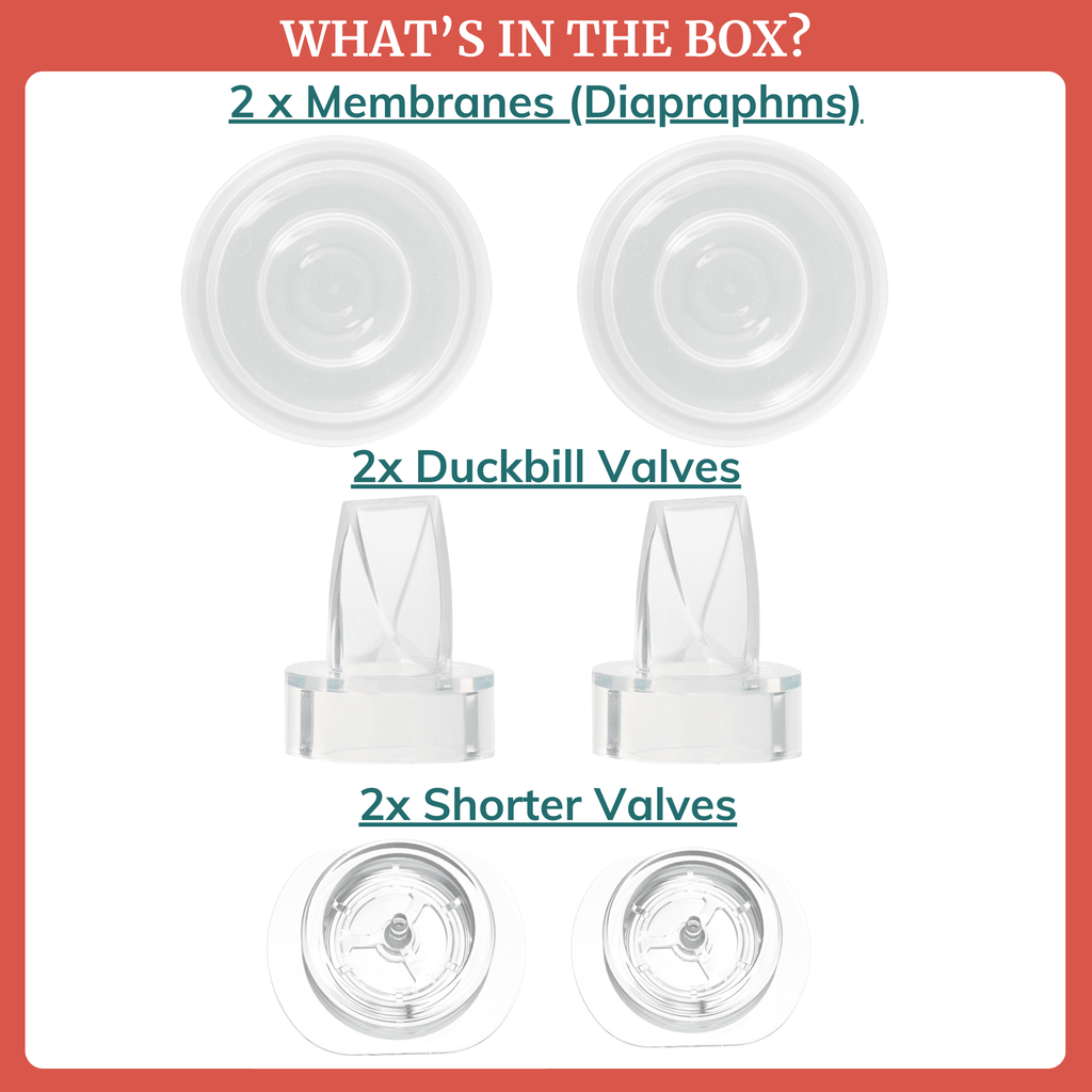 Duckbill Valves & Membranes for Wearable Breast Pumps - Shop Avnu