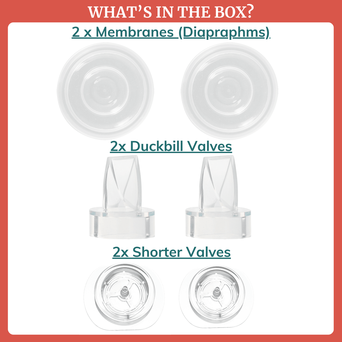 Duckbill Valves & Membranes for Wearable Breast Pumps - Shop Avnu