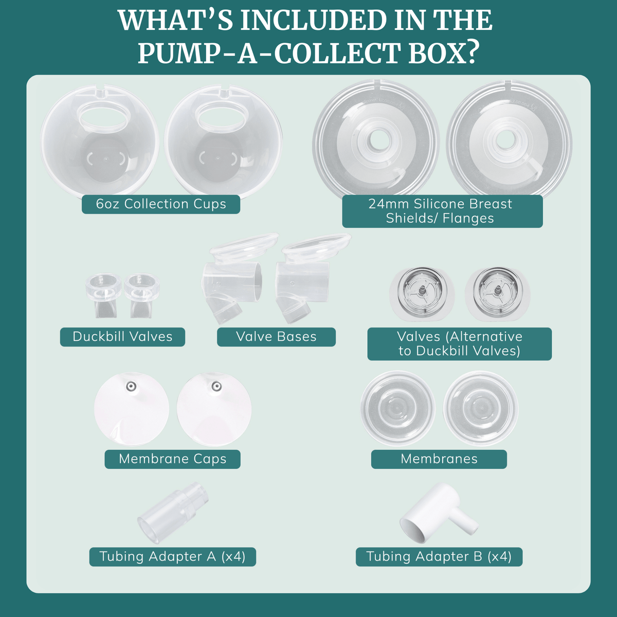 Milk Collection Cups with Silicone Flanges - Pump - A - Collect - Shop Avnu