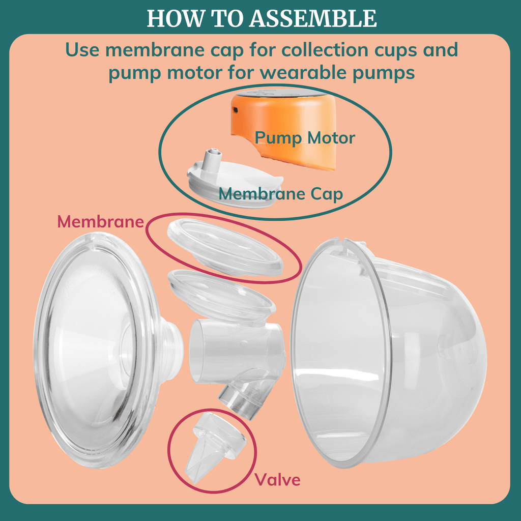 Duckbill Valves & Membranes for Wearable Breast Pumps - Shop Avnu
