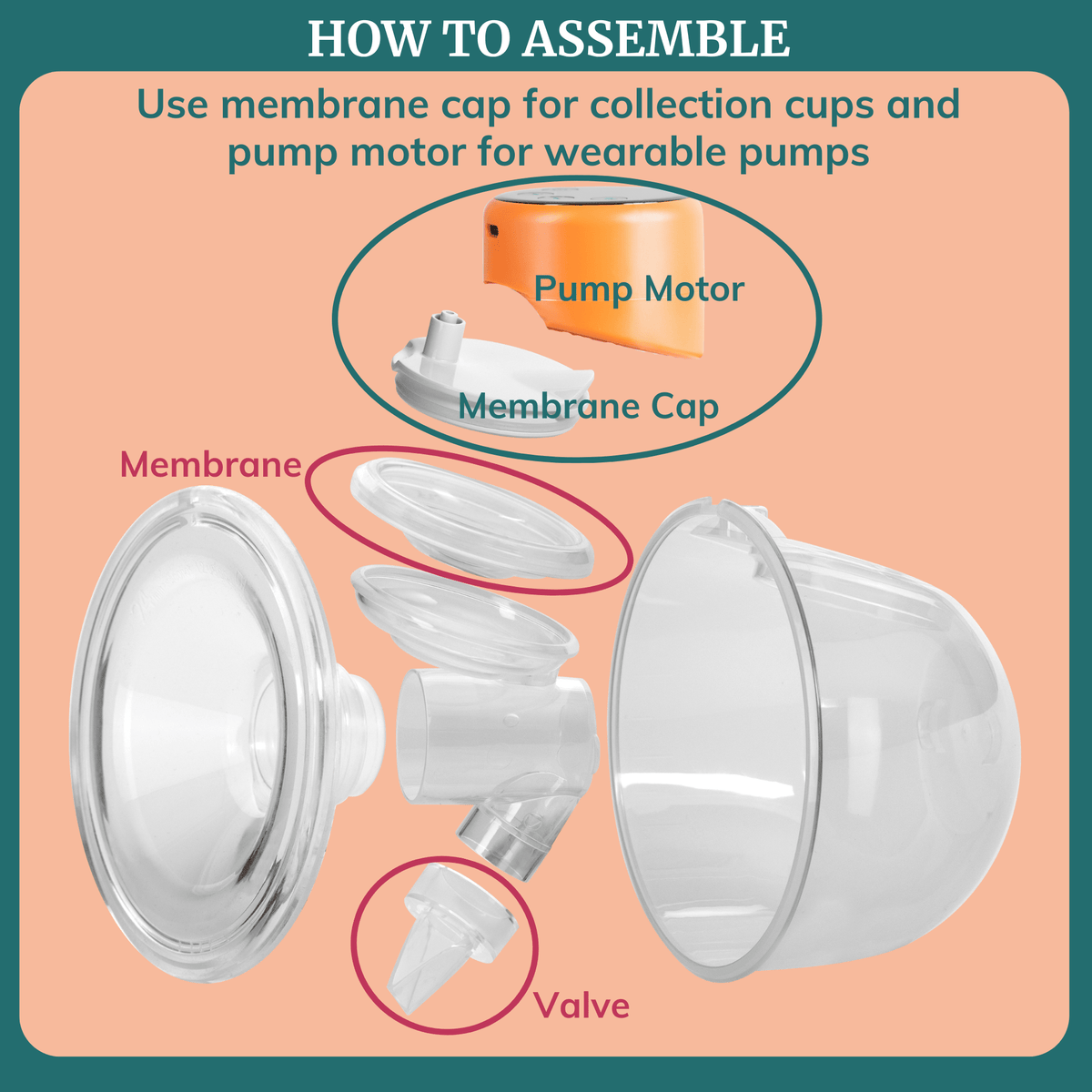 Duckbill Valves & Membranes for Wearable Breast Pumps - Shop Avnu