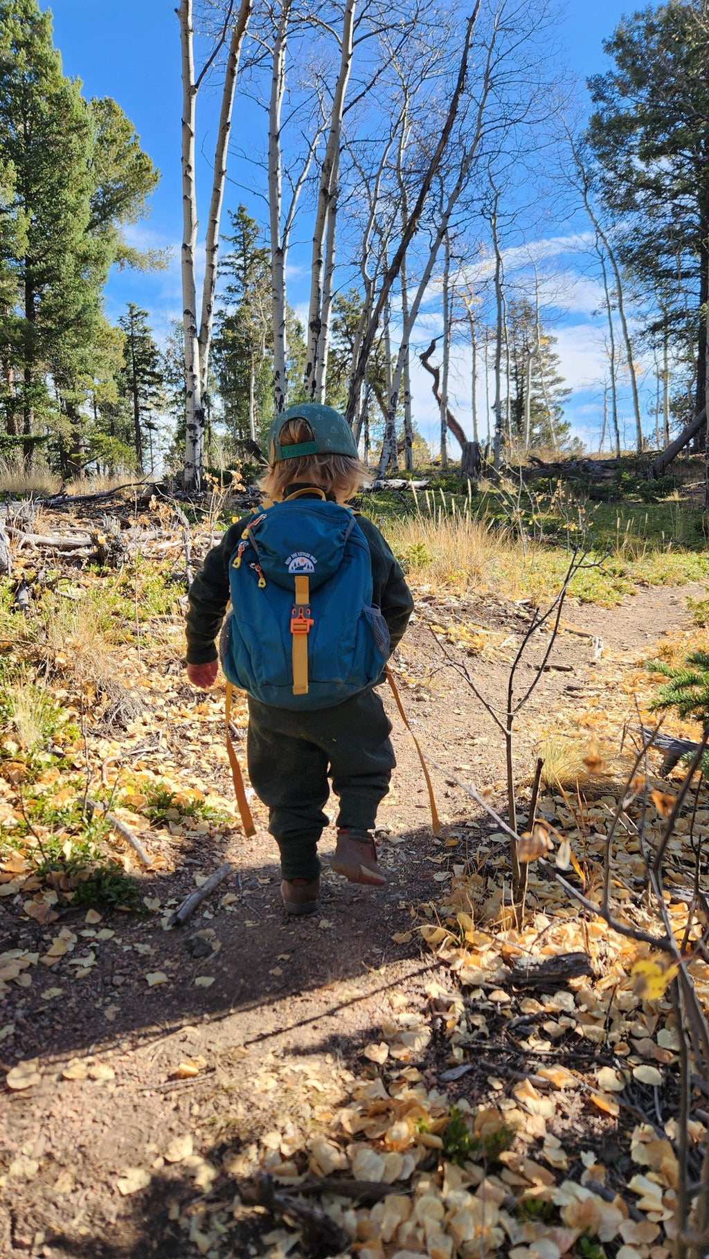 Kid’s (Ages 2 to 7) Teal Hiking Pack - Water Bladder Compatible Backpack for Young Hikers