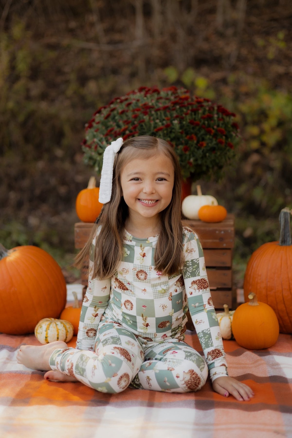 Harvest Hedgehogs 2pc Bamboo Pajamas - Shop Avnu