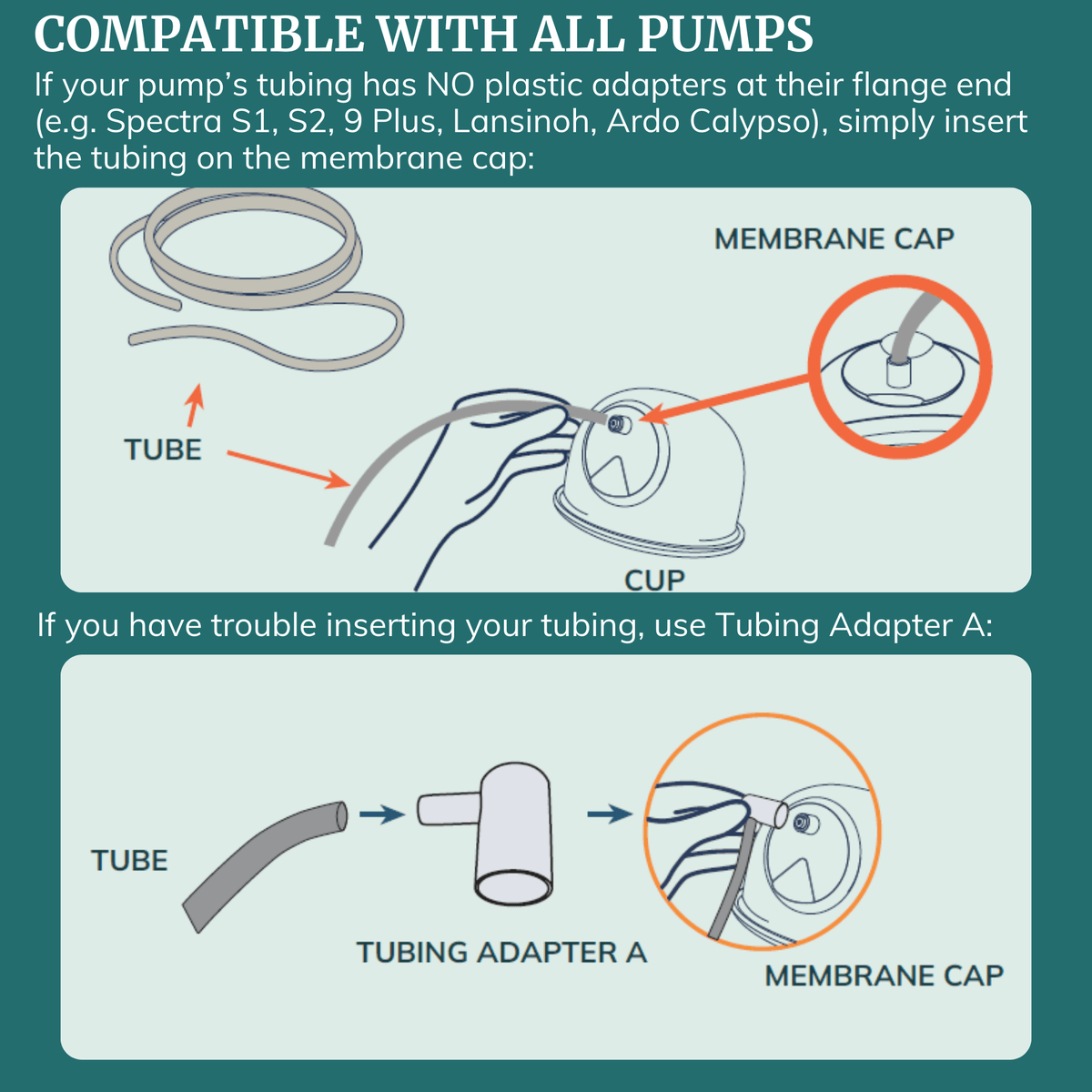 Milk Collection Cups with Silicone Flanges - Pump - A - Collect - Shop Avnu