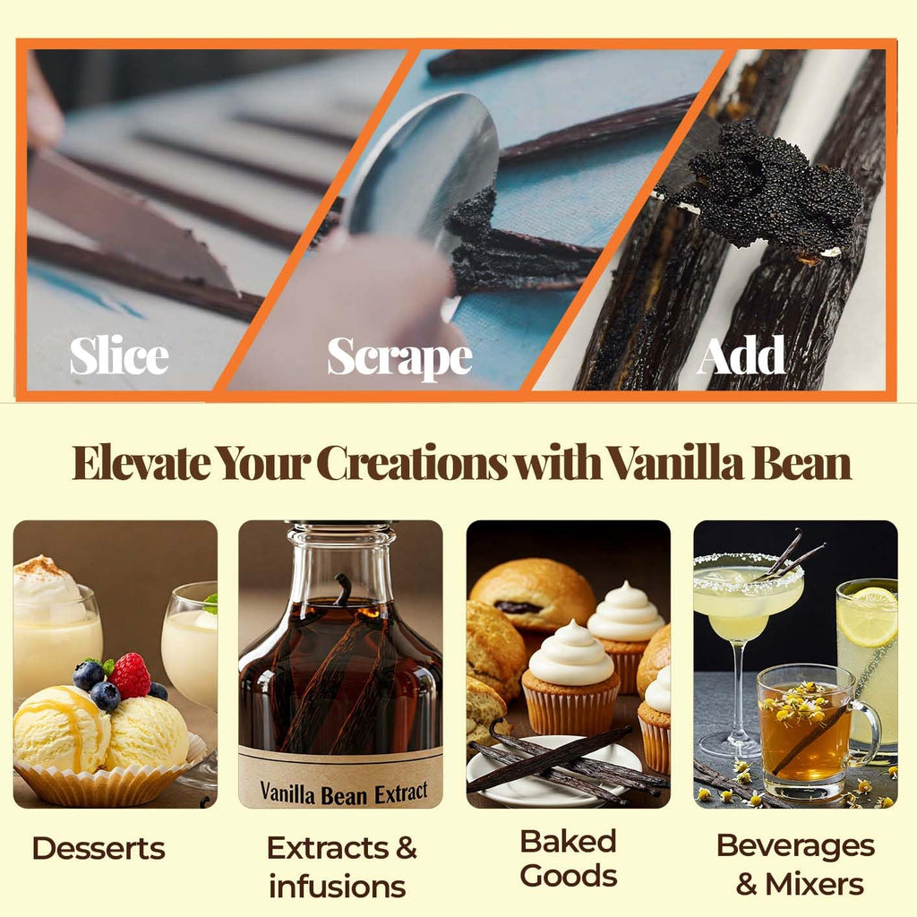 SPECIAL 12 lb. Bulk Gourmet Vanilla Beans – Premium Grade A Vanilla Bean Pods for Baking & Extract
