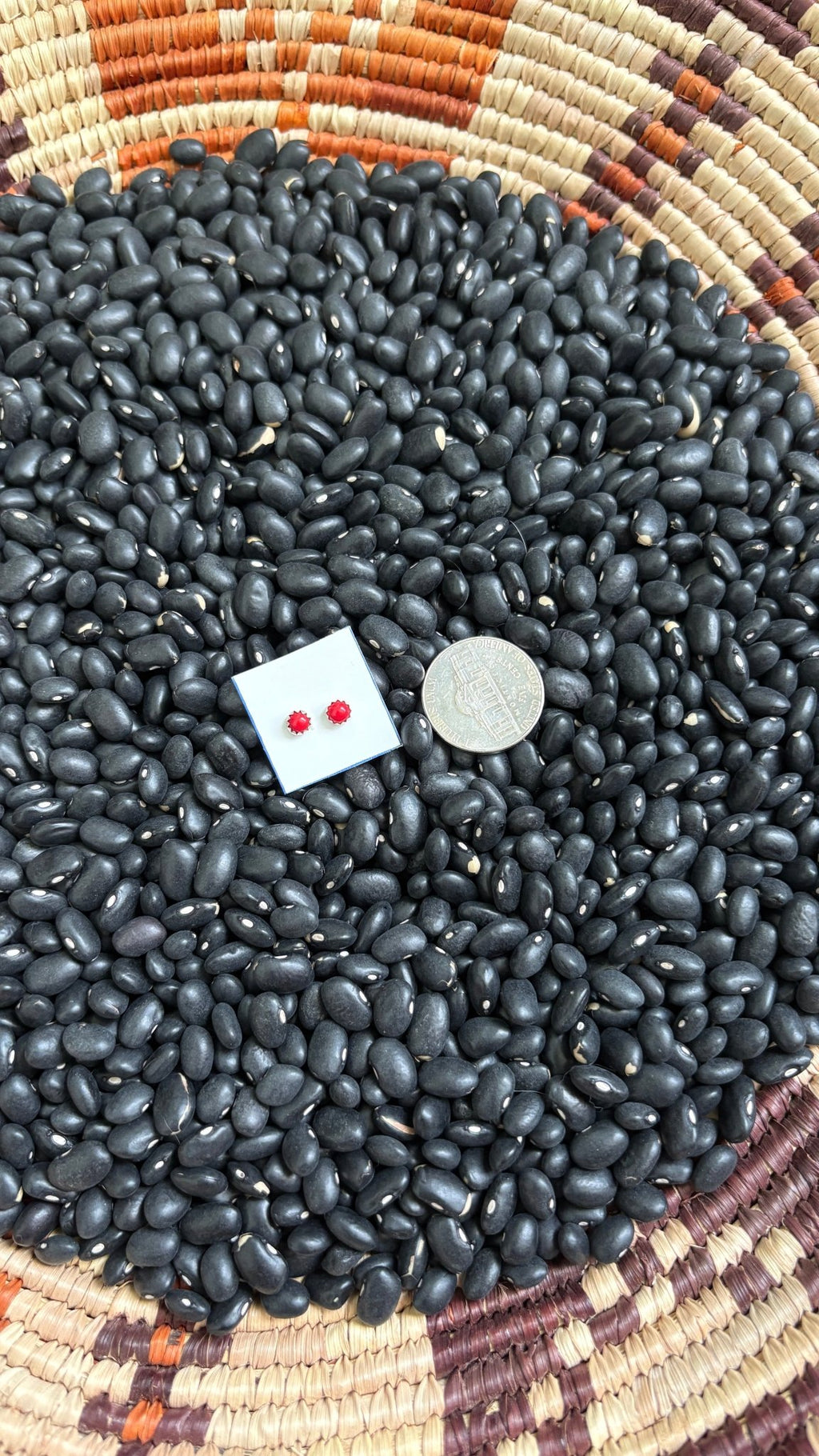 4MM CORAL STUDS - Shop Avnu
