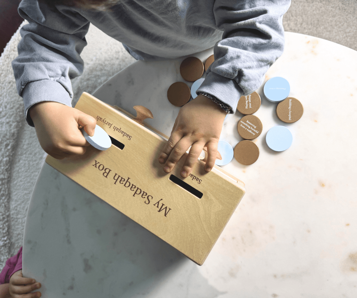 Sadaqah Coin Box (Montessori) - Shop Avnu