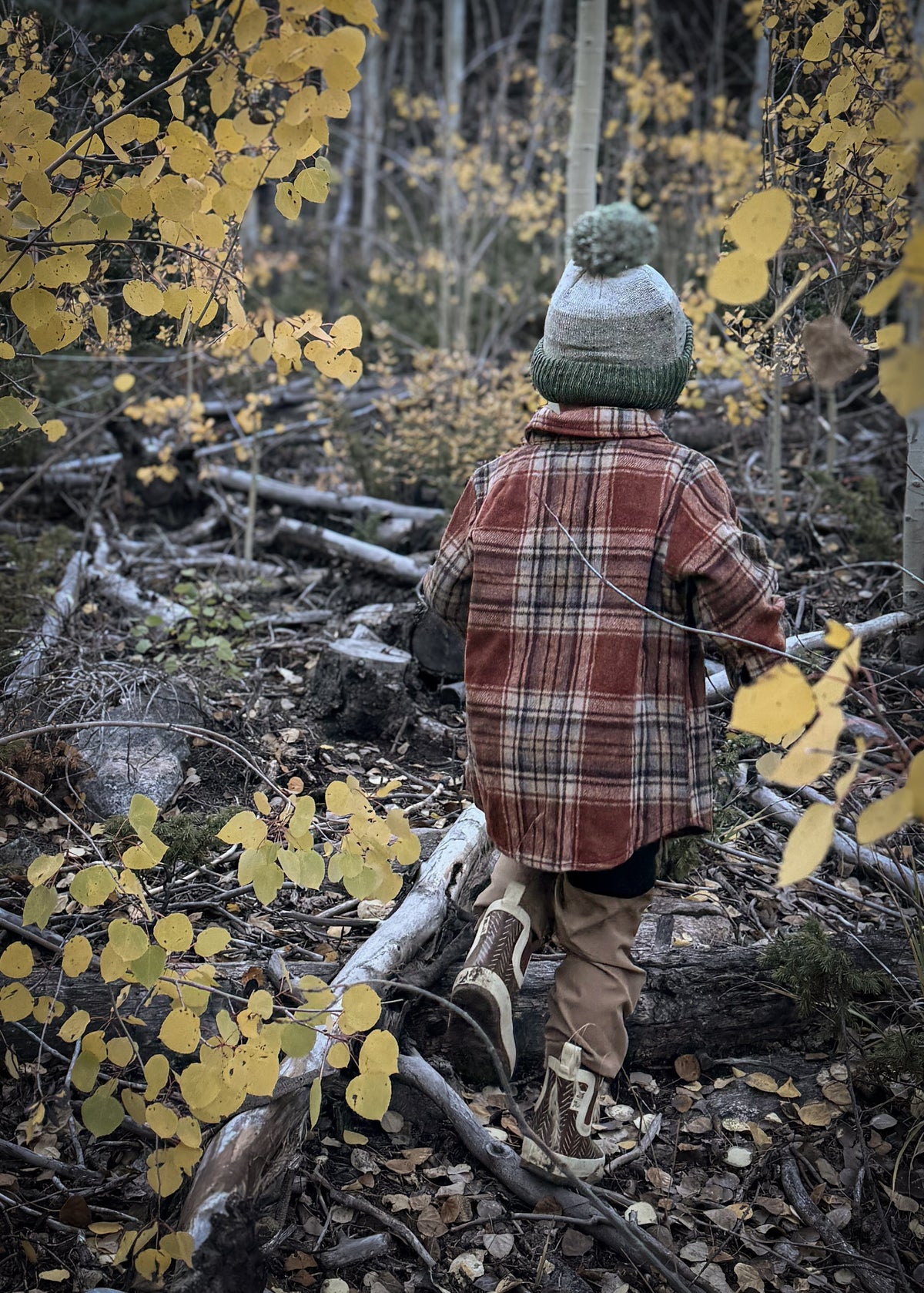 Fall flannel