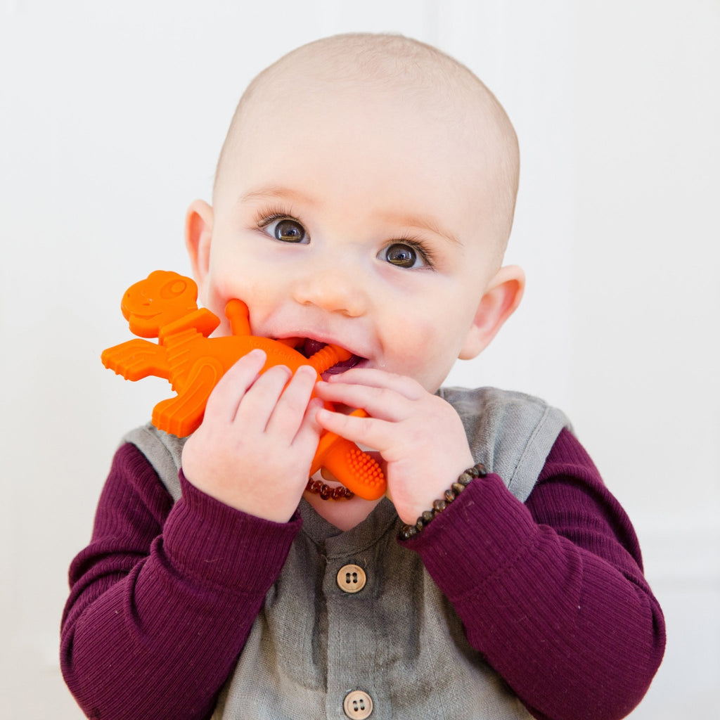 Dibly the Dino - Sore - No - More - Orange - Shop Avnu