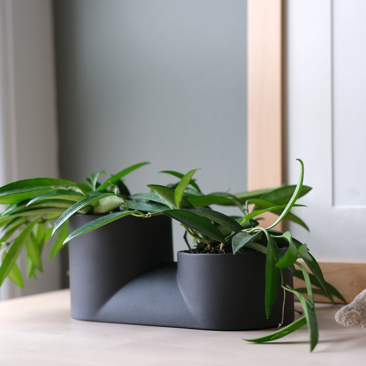 Double Planter