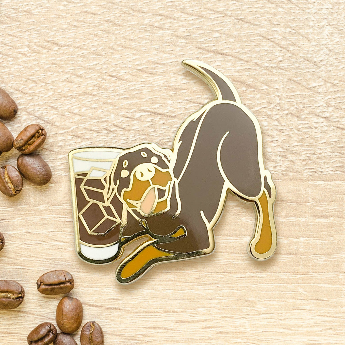 Rottweiler x Americano Pin