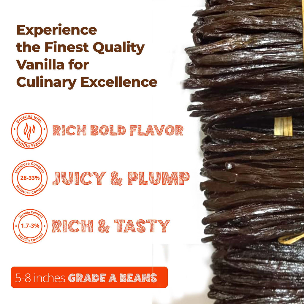 Buy Bulk Vanilla Beans for Baking, Extracts & More – Grade A (1 lb Pack)