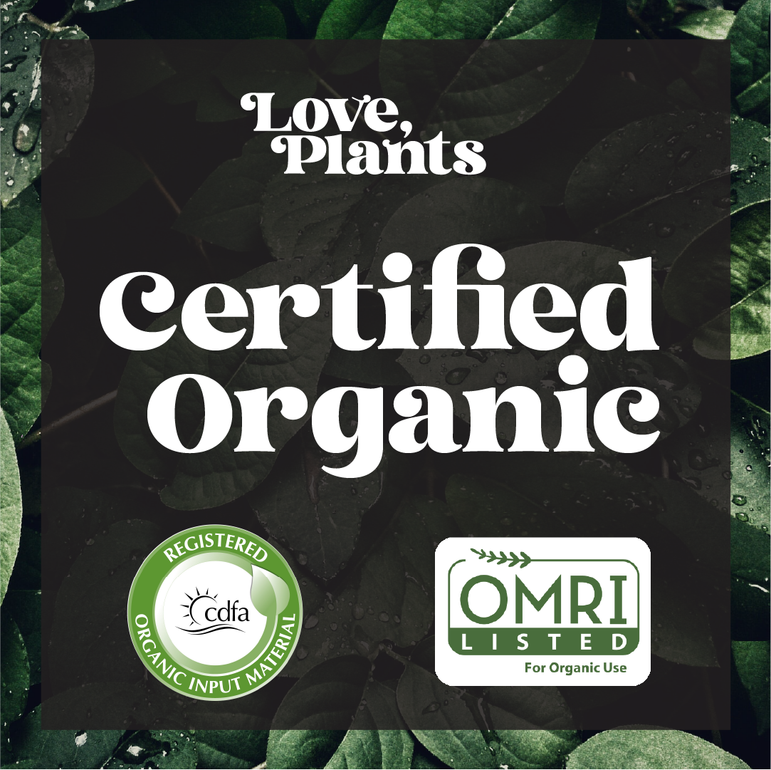 Black Magic Biochar