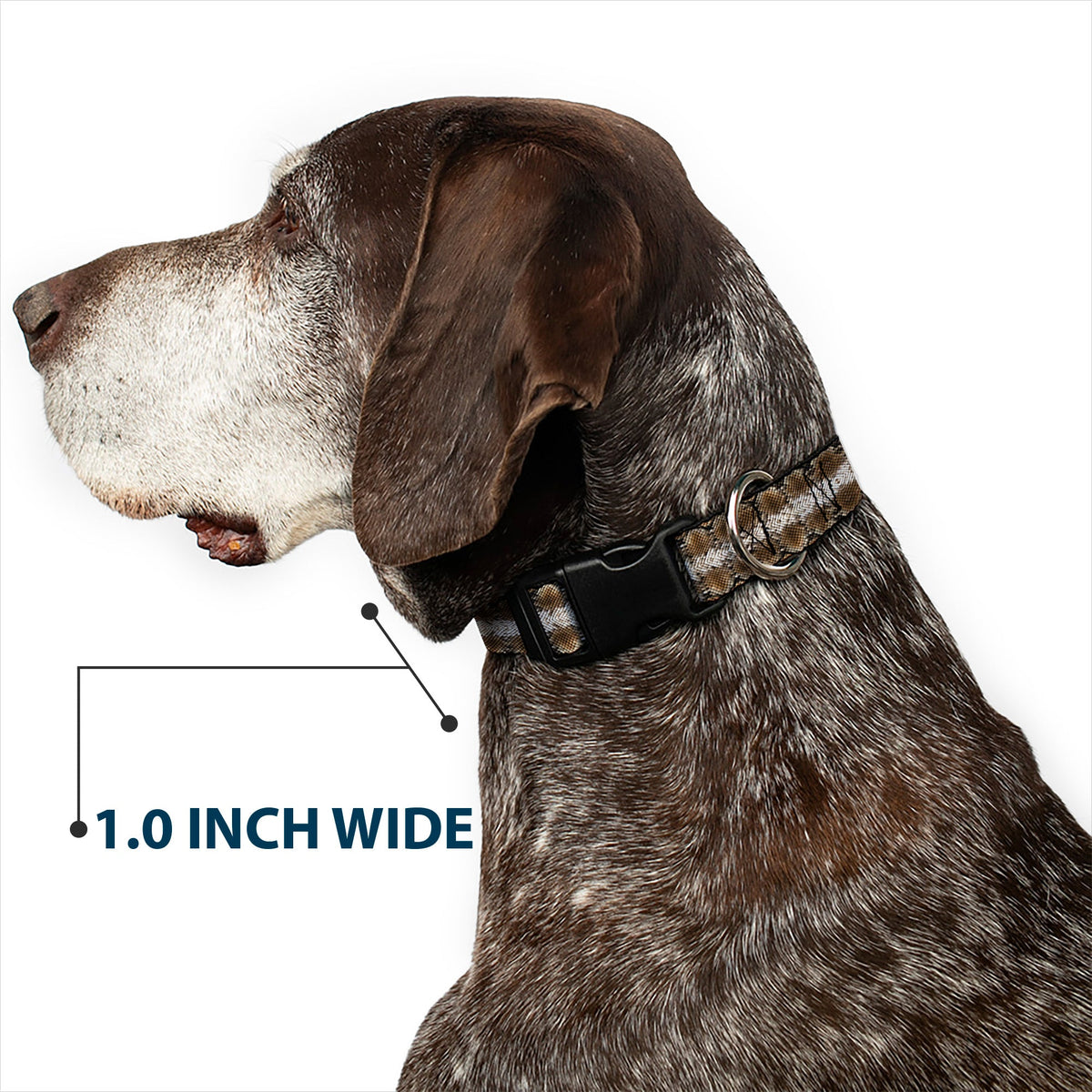 Plastic Clip Collar - Snake Skin 2