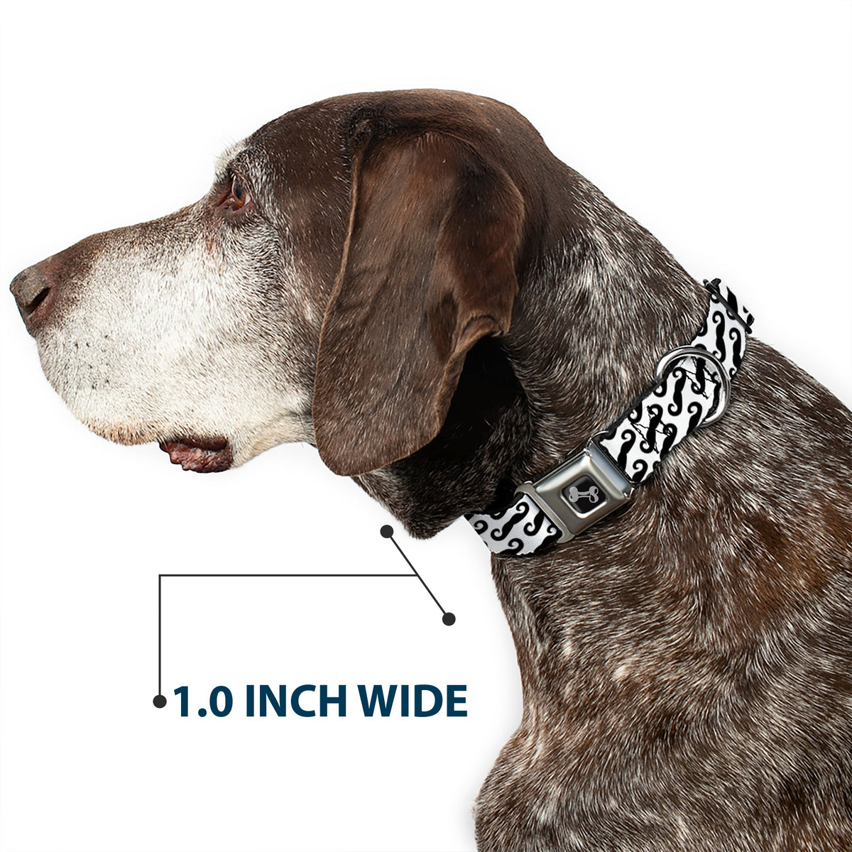 Dog Bone Seatbelt Buckle Collar - Diagonal Handlebar Mustaches White/Black