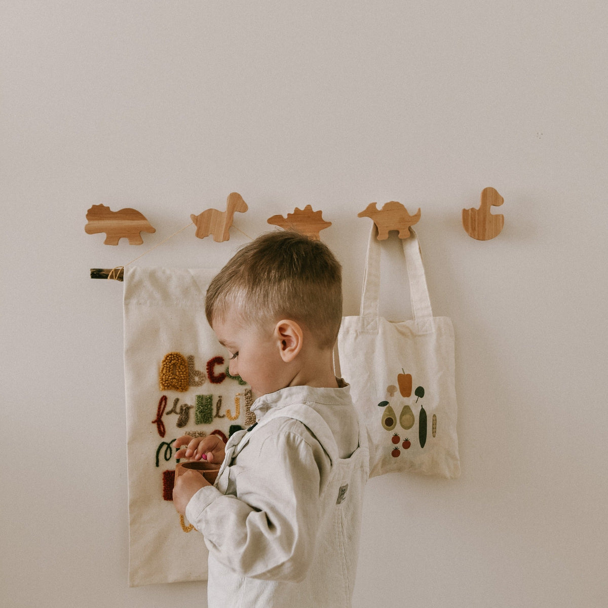 Dinosaurs Wall Hooks