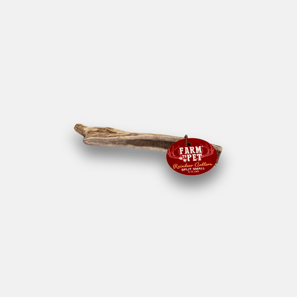 Reindeer Antler Dog Chews | Organic Chews for Dogs