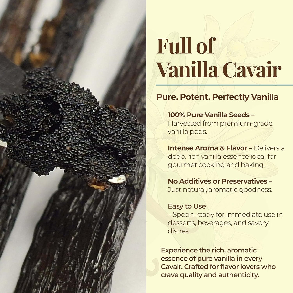 Buy Bulk Vanilla Beans for Baking, Extracts & More – Grade A (1 lb Pack)