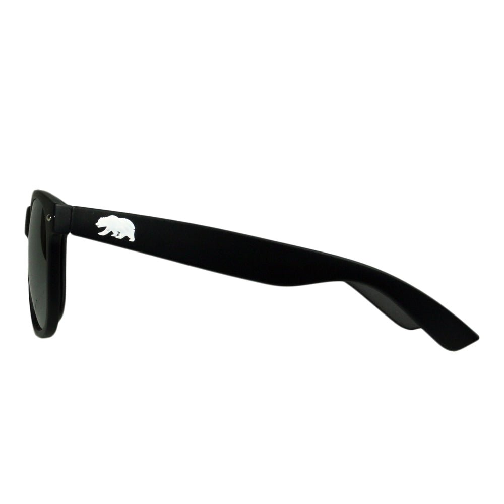 Matte Black Sunglasses - Shop Avnu