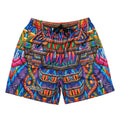 Chris Dyer Freesponsable Rainbow Mesh Shorts - Shop Avnu