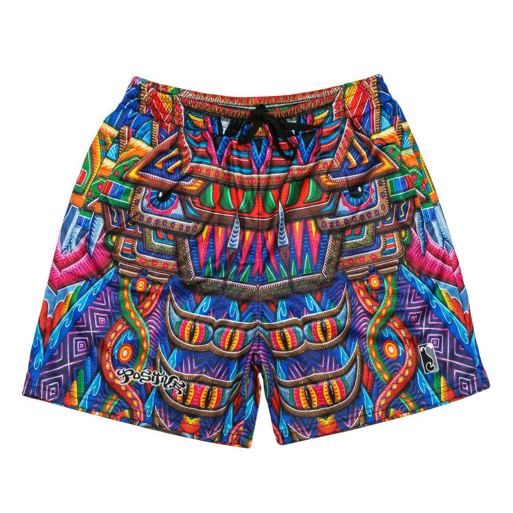 Chris Dyer Freesponsable Rainbow Mesh Shorts - Shop Avnu