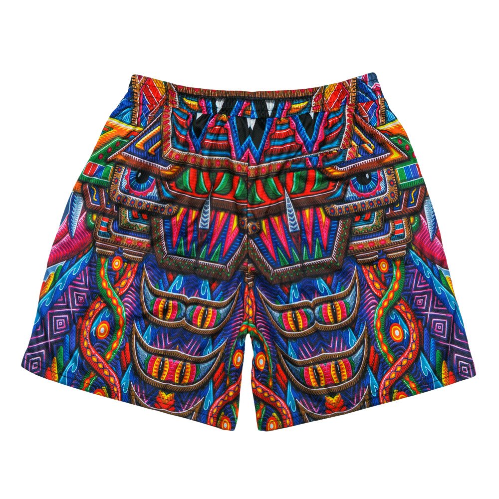 Chris Dyer Freesponsable Rainbow Mesh Shorts - Shop Avnu