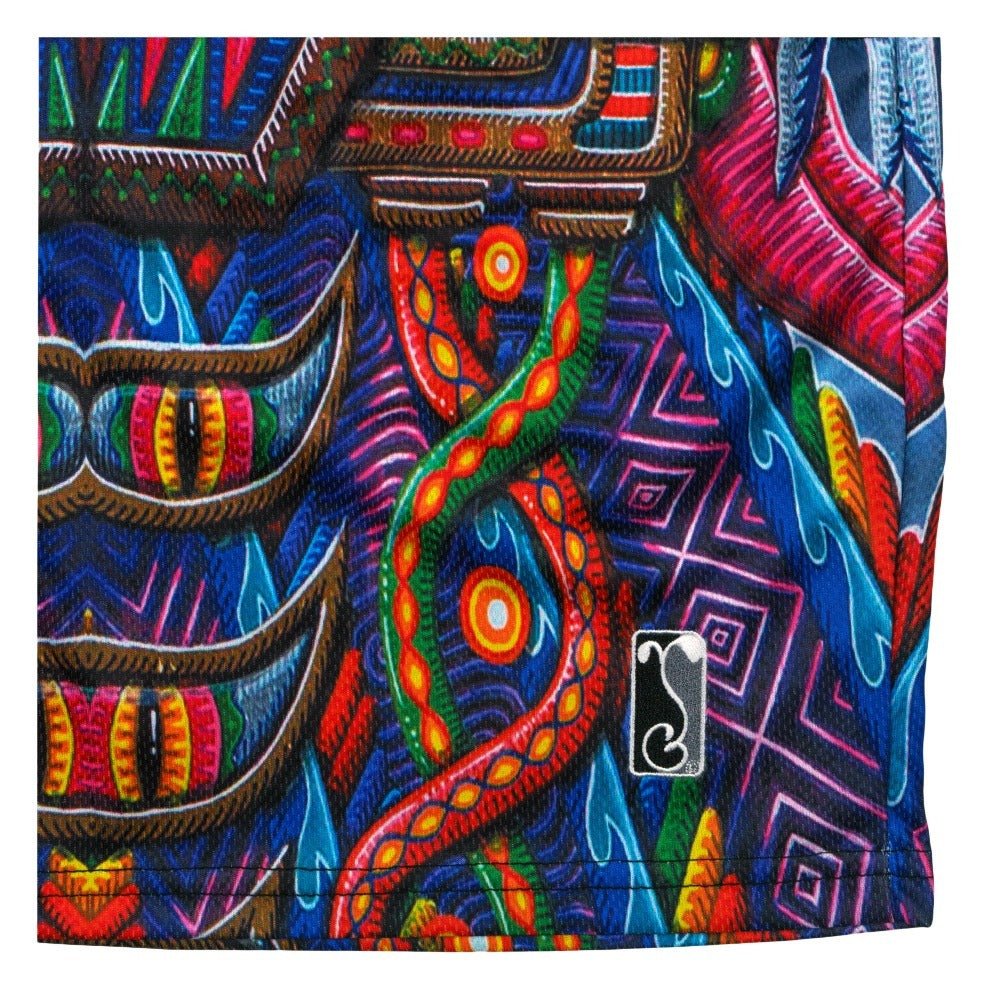 Chris Dyer Freesponsable Rainbow Mesh Shorts - Shop Avnu