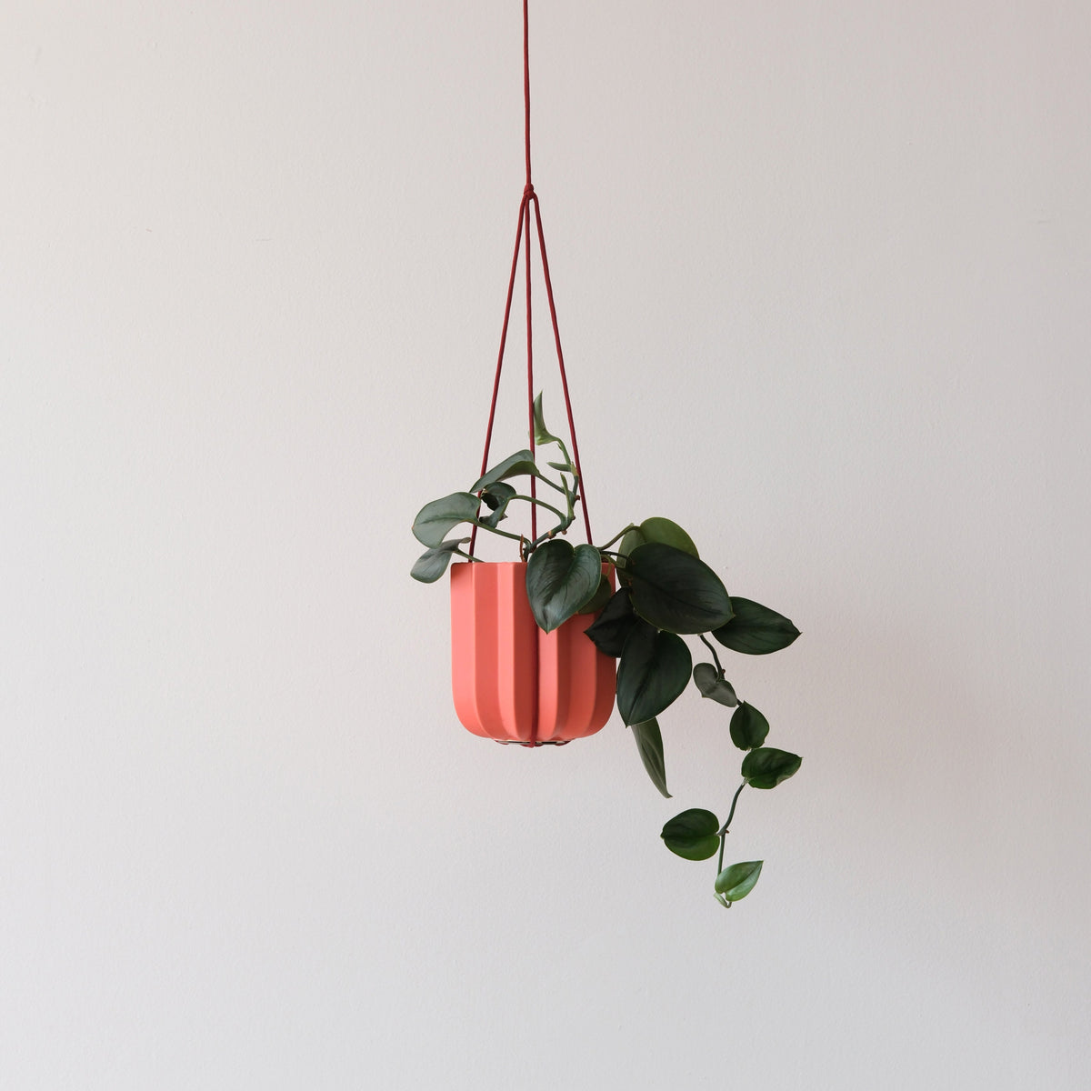 Wrap Hanging Kit