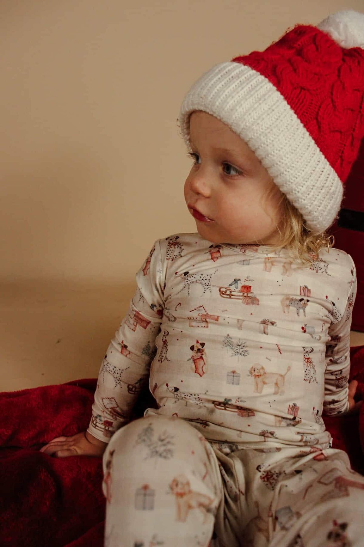 Santa Paws 2pc Bamboo Pajamas - Shop Avnu