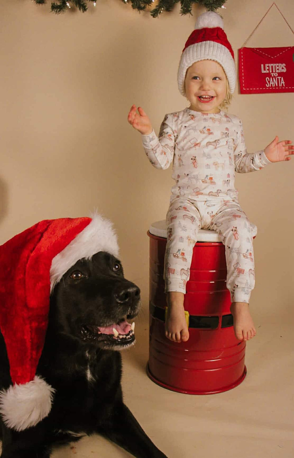 Santa Paws 2pc Bamboo Pajamas - Shop Avnu