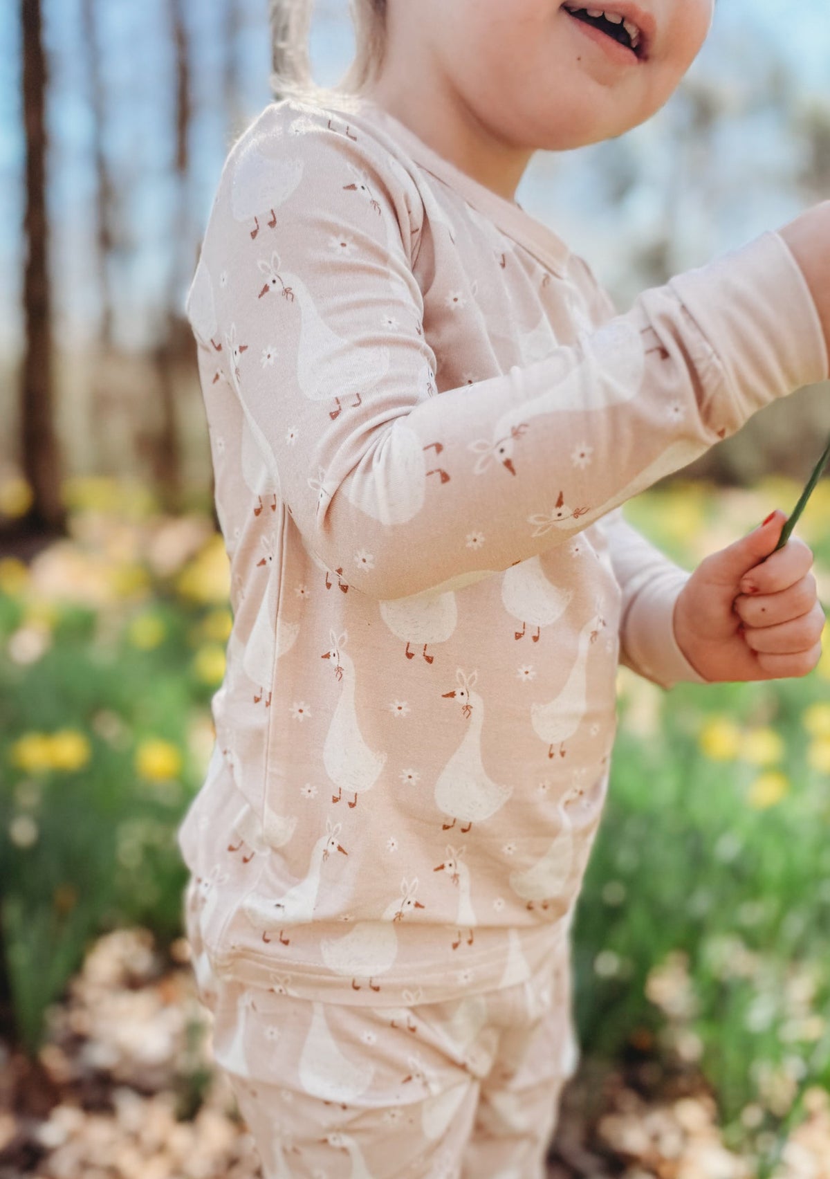 Silly Goose on the Loose 2pc Bamboo Pajamas - Shop Avnu