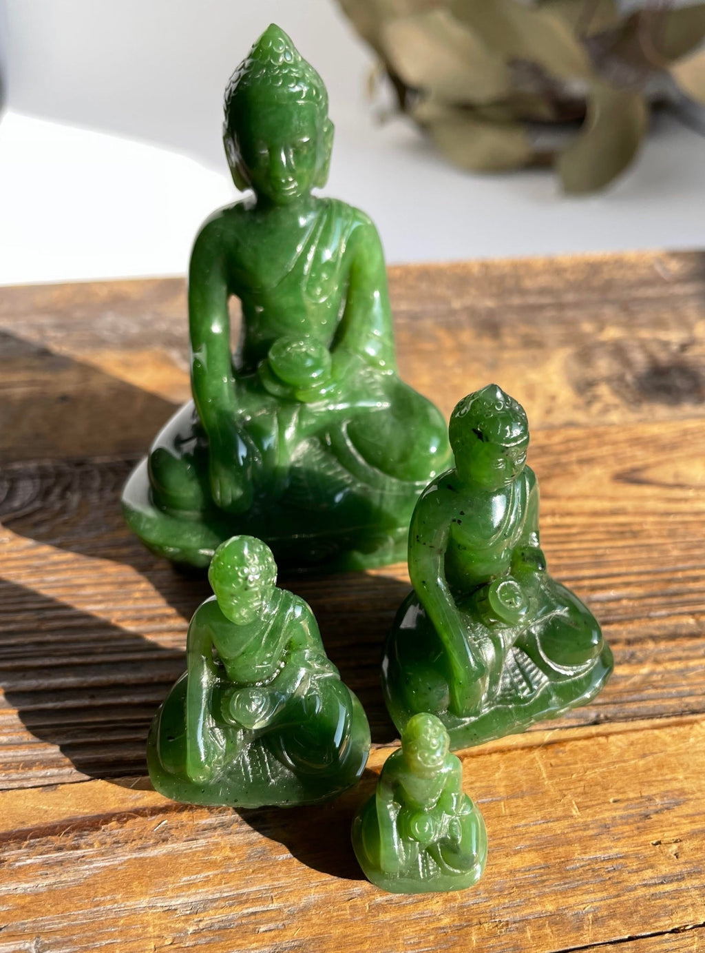 Buddha, 4042 - Shop Avnu