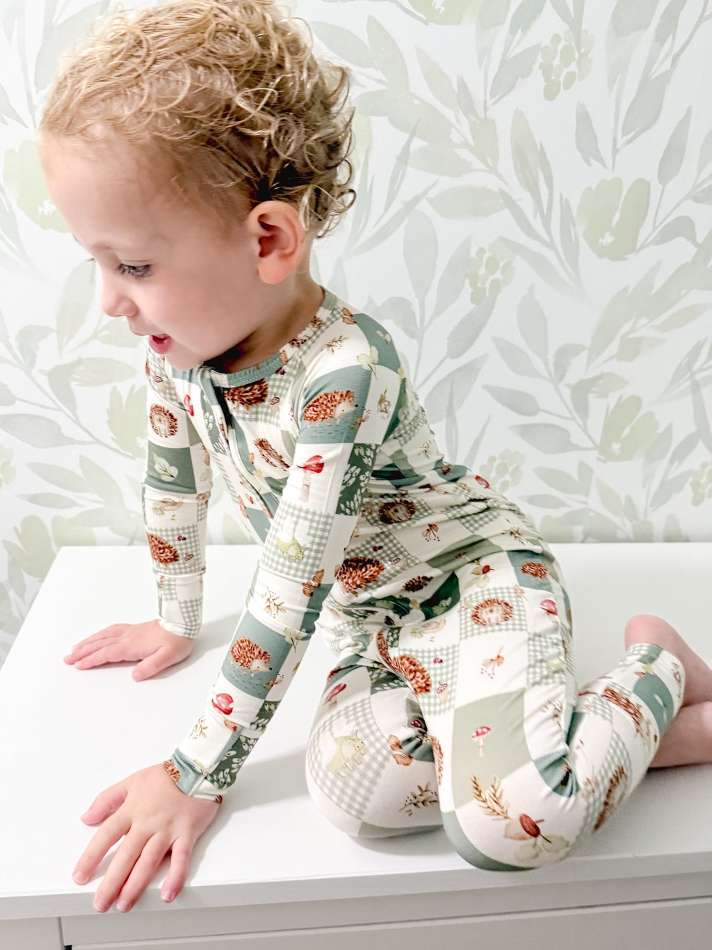 Harvest Hedgehogs Bamboo Zippy Pajamas - Shop Avnu