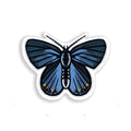 Karner Blue Sticker