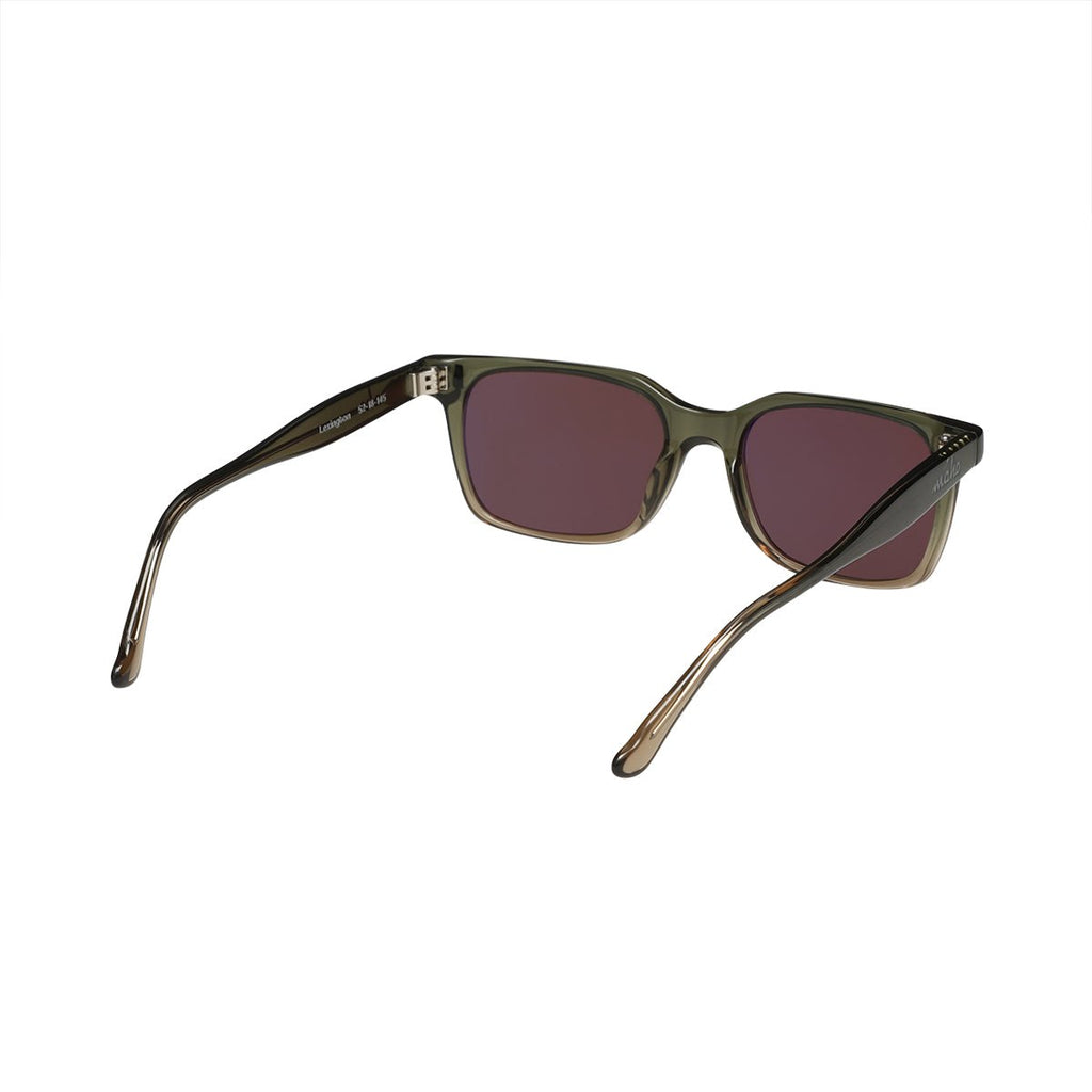 Lexington Sea Pine - Shop Avnu
