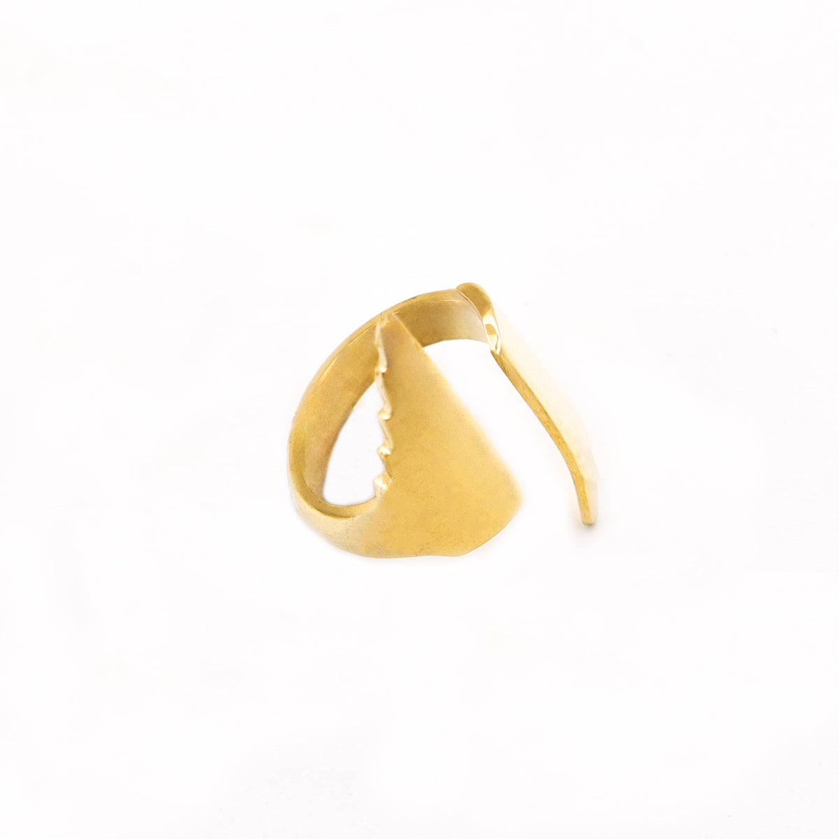 Peo Elongated Adjustable Wrapped Ring