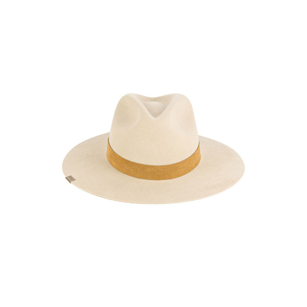 Staple Collection - Shop Avnu
