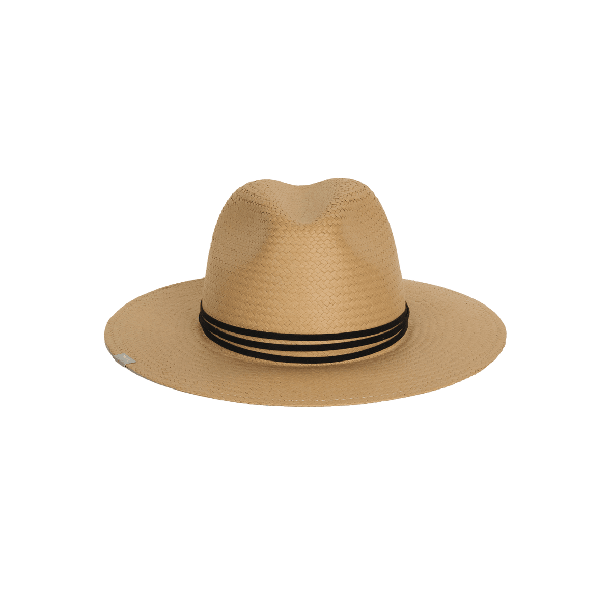 Elevated Collection - Shop Avnu