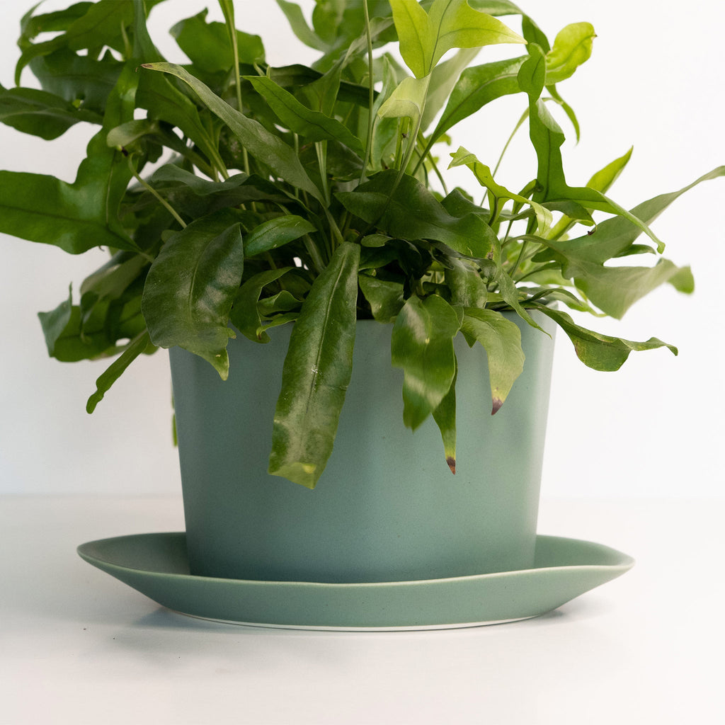 Geometric Oval Handmade Porcelain Planter