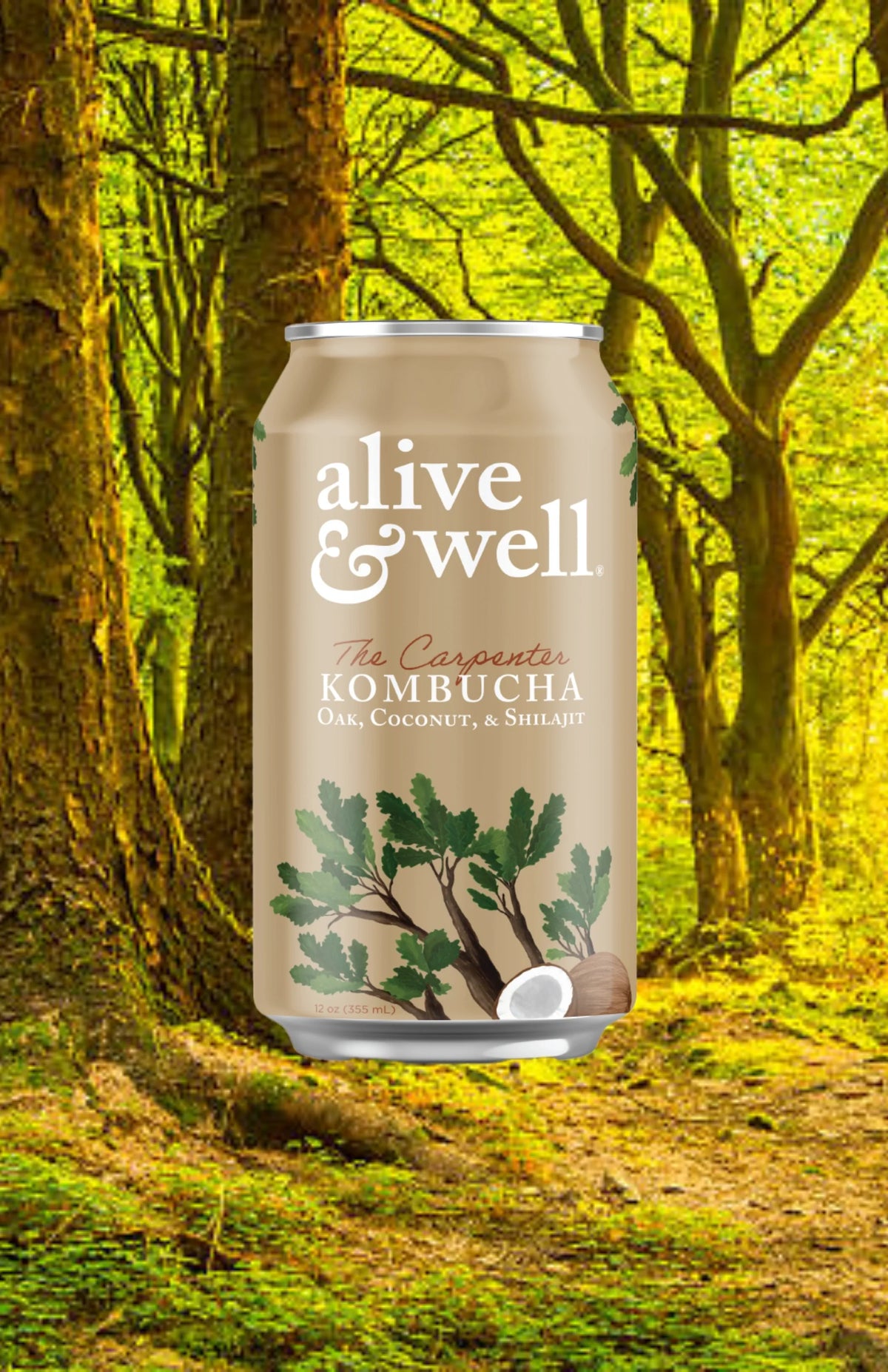 Oak & Coconut Kombucha Organic