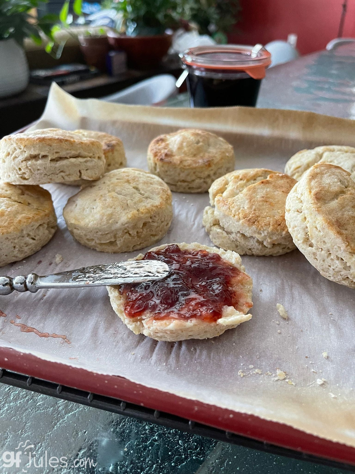 gfJules Gluten Free Corn-Free Multigrain Biscuit & Breakfast Baking Flour