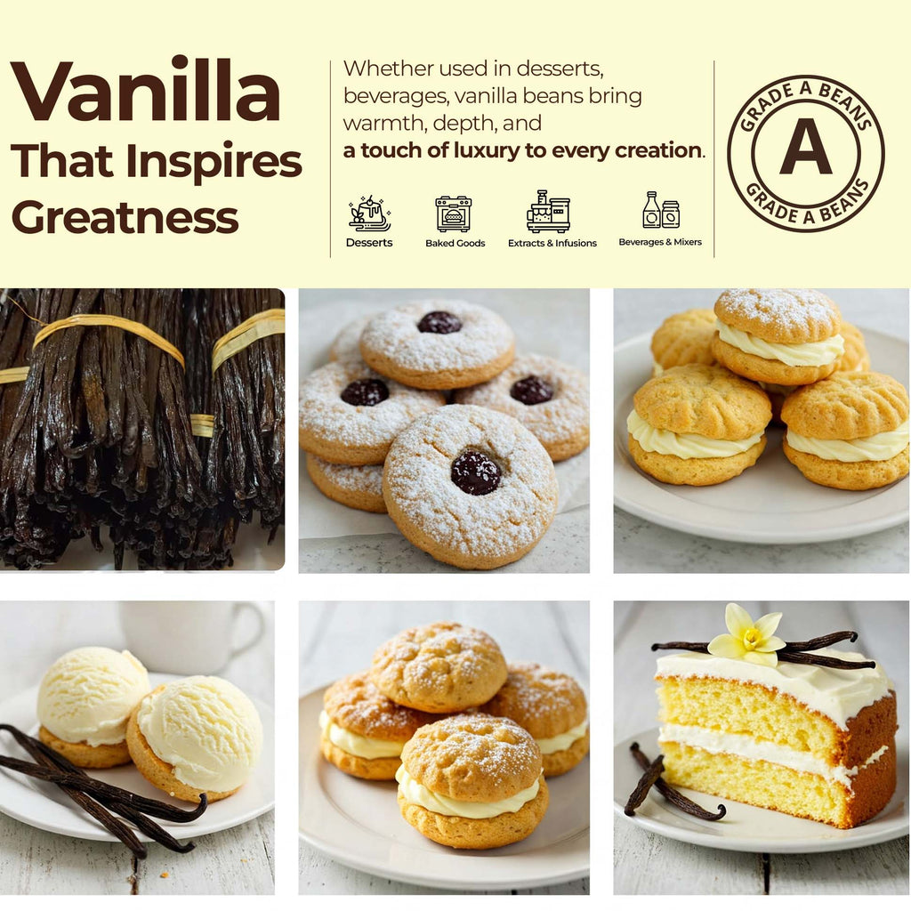SPECIAL !! Premium Wholesale Bulk Vanilla Beans Grade-A Superior Quality for Exquisite Culinary Creations