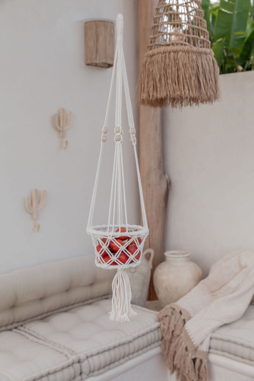 Cactus Wall Hook