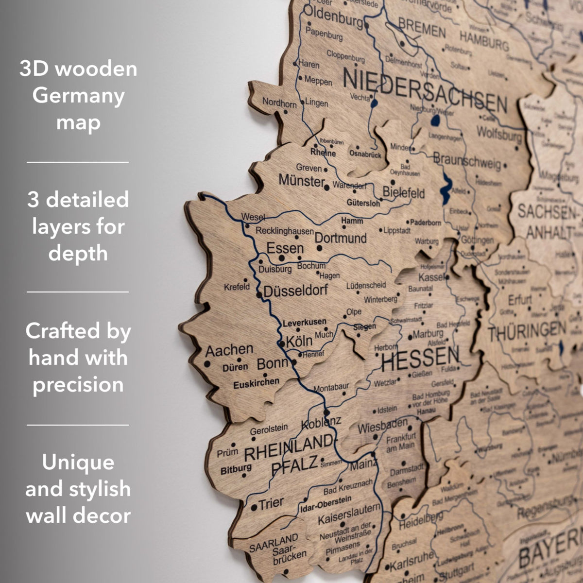 3D Germany Wooden Map Terra
