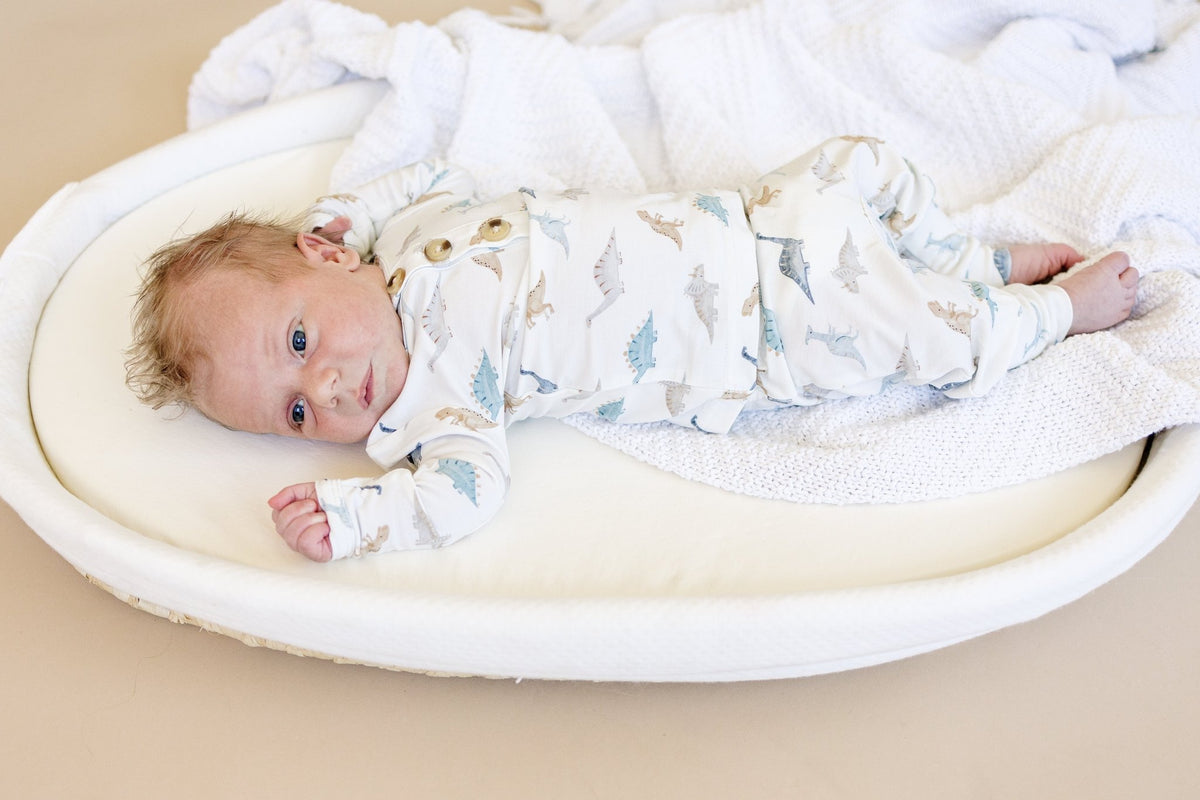 Snugglesaurus 2pc Henley Bamboo Pajamas - Sizes Newborn & Up! - Shop Avnu
